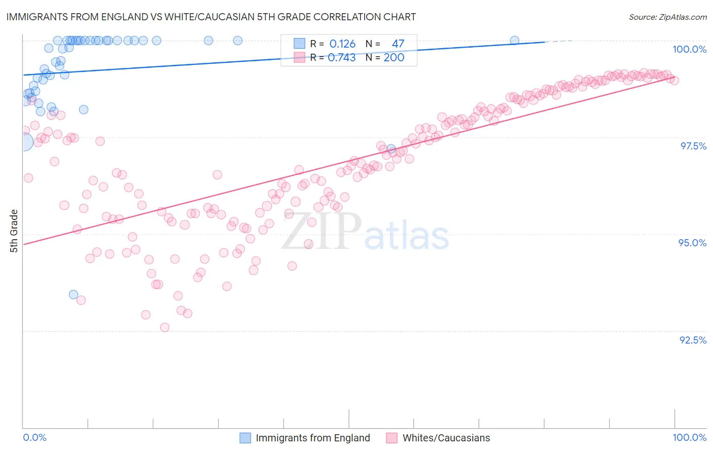 Immigrants from England vs White/Caucasian 5th Grade