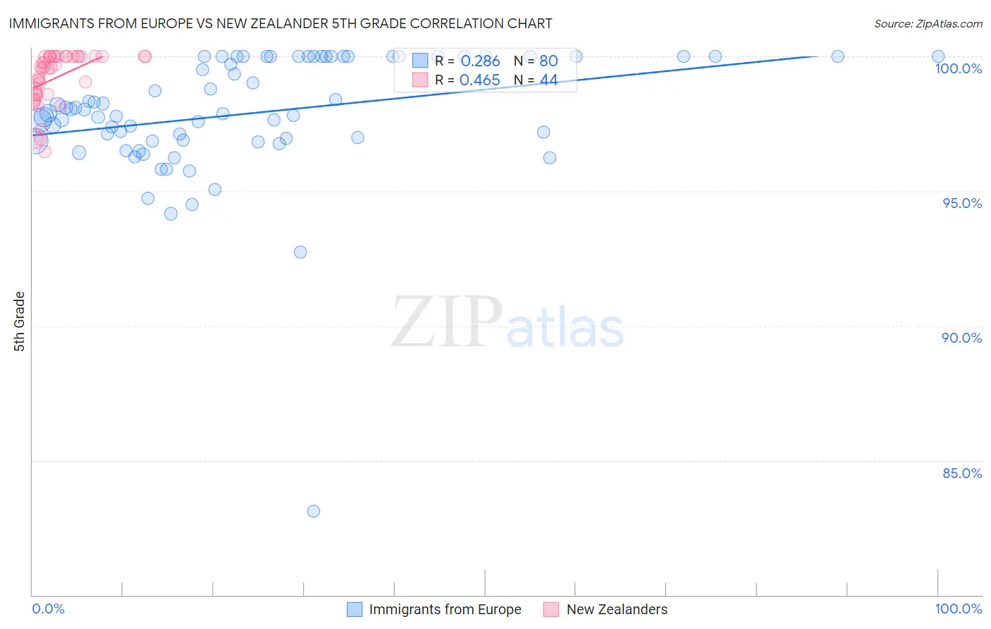 Immigrants from Europe vs New Zealander 5th Grade