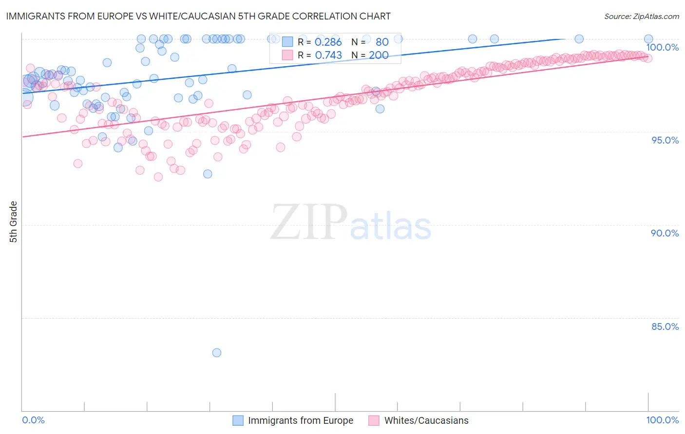 Immigrants from Europe vs White/Caucasian 5th Grade