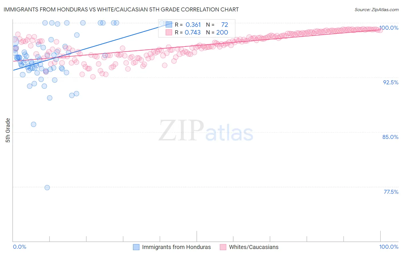 Immigrants from Honduras vs White/Caucasian 5th Grade