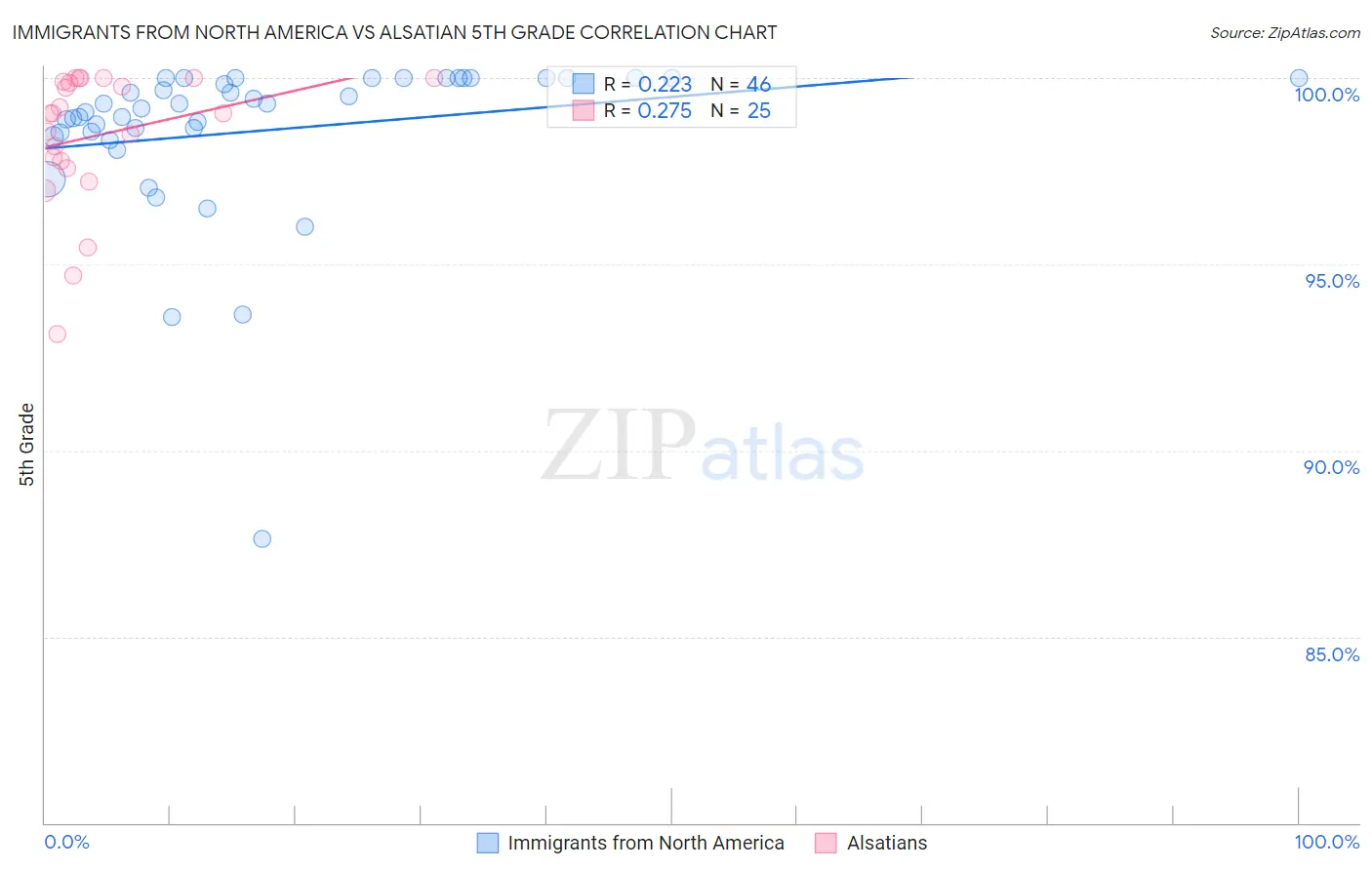 Immigrants from North America vs Alsatian 5th Grade