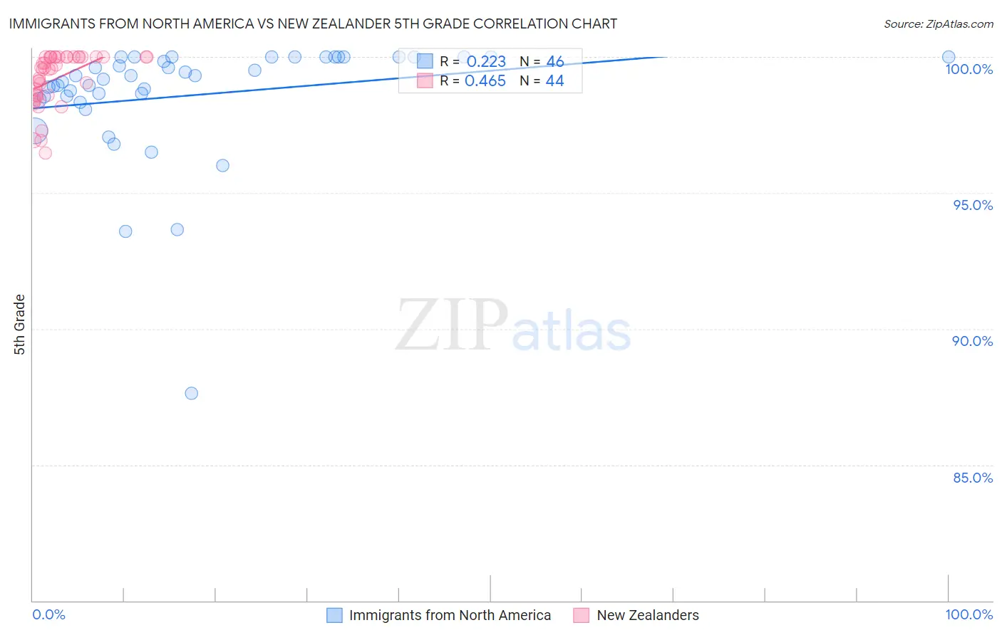Immigrants from North America vs New Zealander 5th Grade