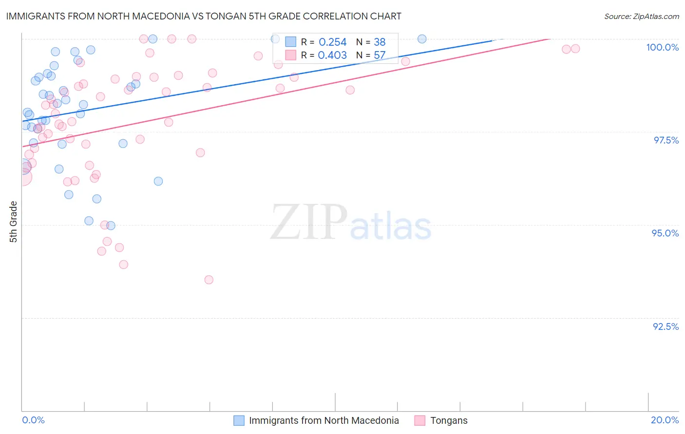 Immigrants from North Macedonia vs Tongan 5th Grade