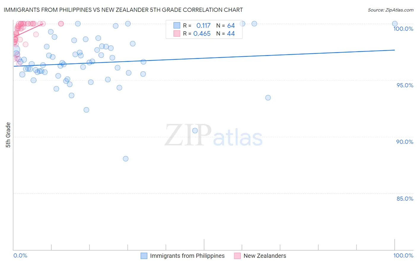 Immigrants from Philippines vs New Zealander 5th Grade