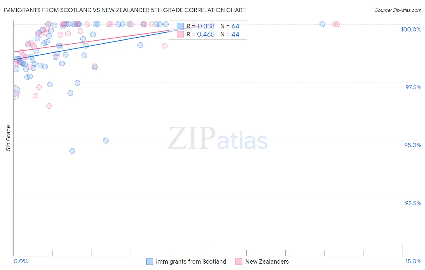 Immigrants from Scotland vs New Zealander 5th Grade
