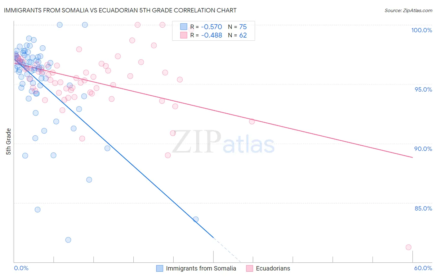Immigrants from Somalia vs Ecuadorian 5th Grade