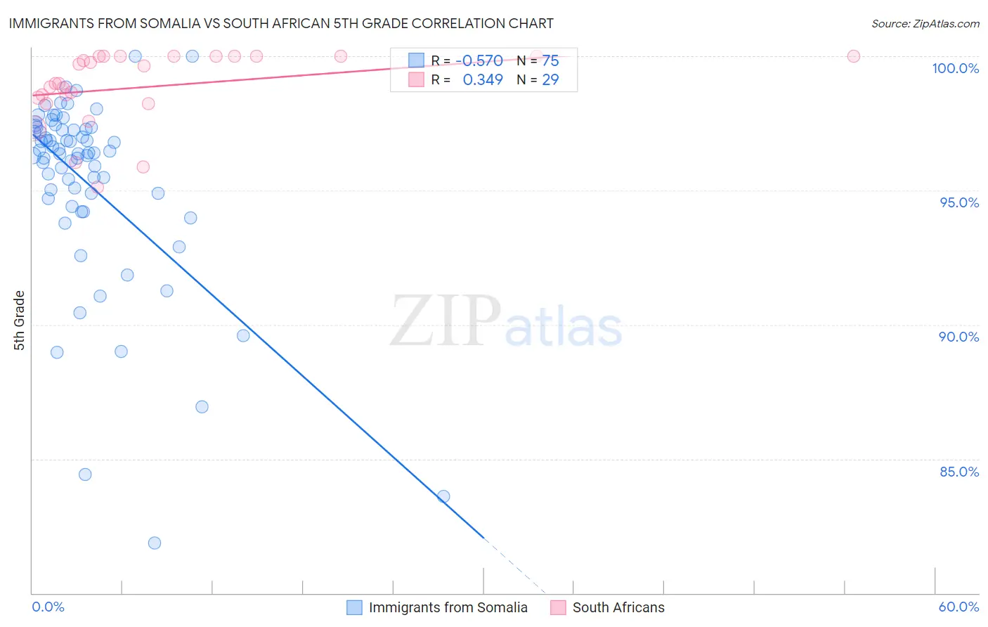Immigrants from Somalia vs South African 5th Grade