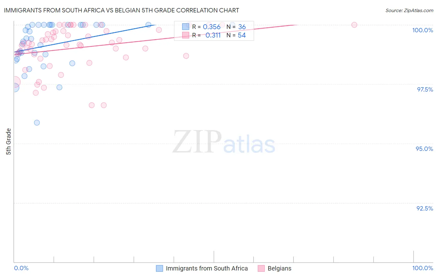 Immigrants from South Africa vs Belgian 5th Grade