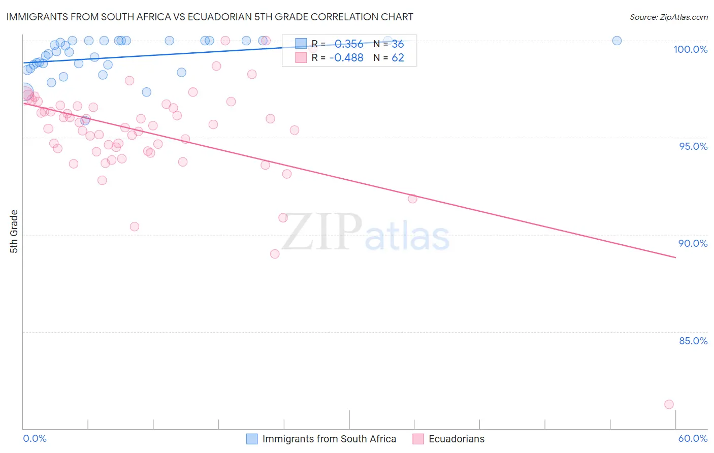 Immigrants from South Africa vs Ecuadorian 5th Grade