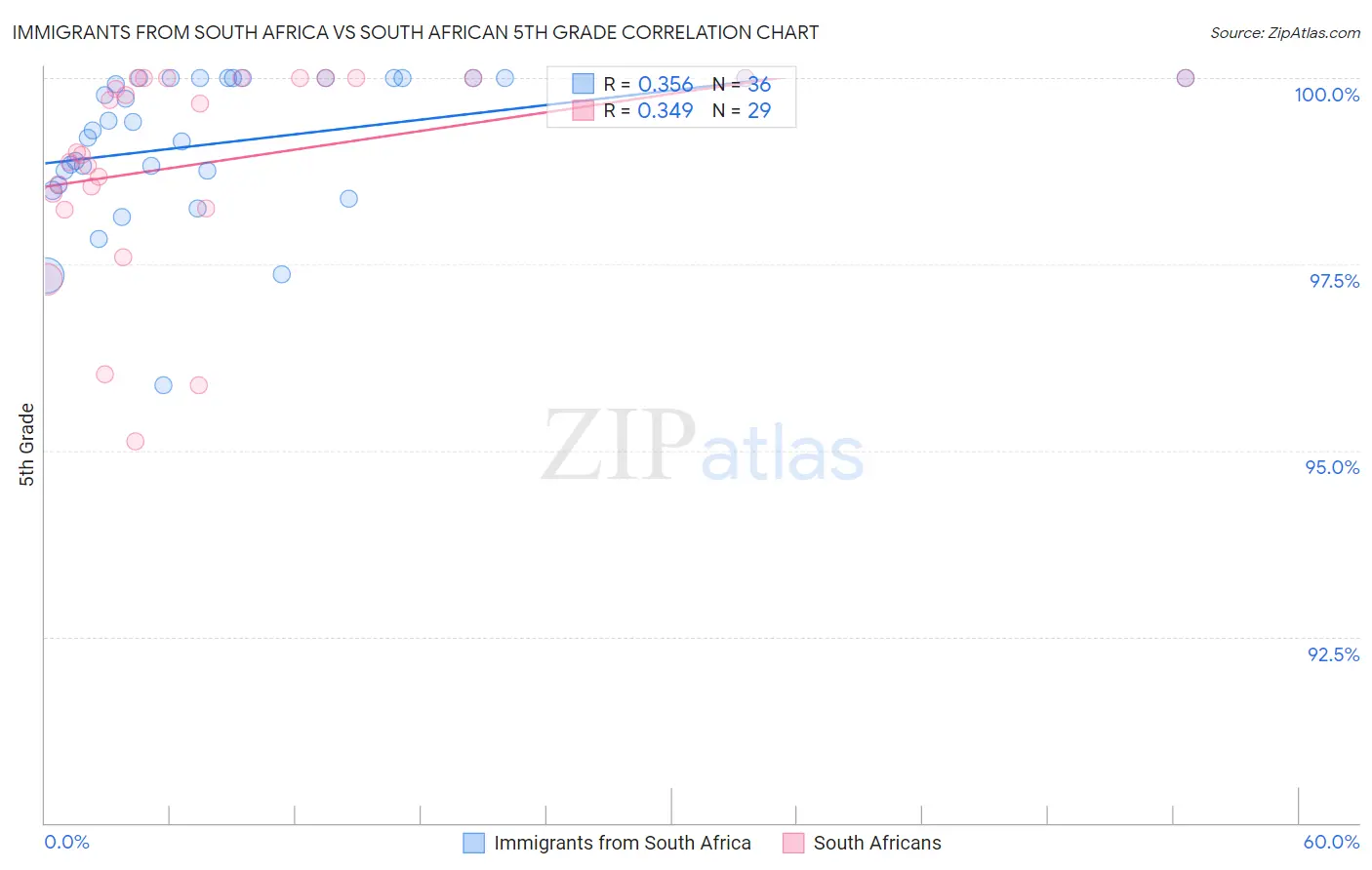 Immigrants from South Africa vs South African 5th Grade