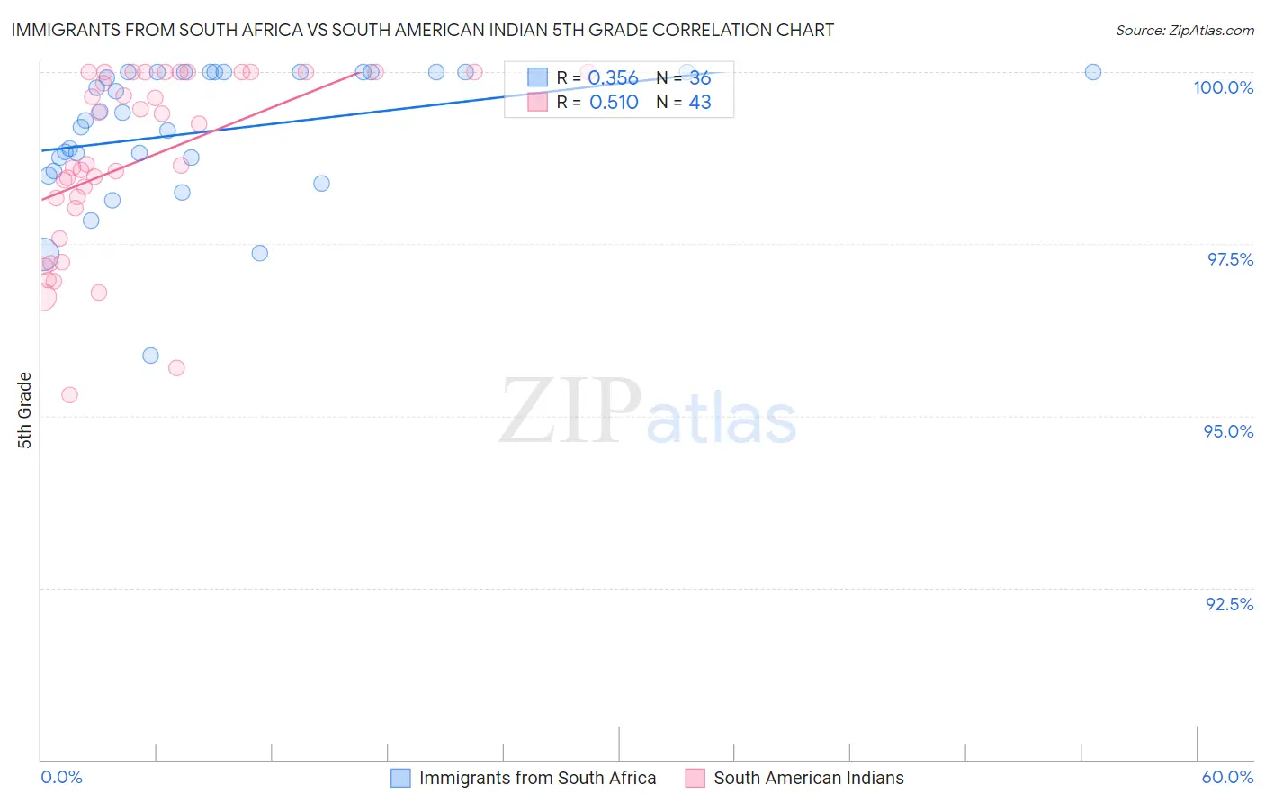 Immigrants from South Africa vs South American Indian 5th Grade