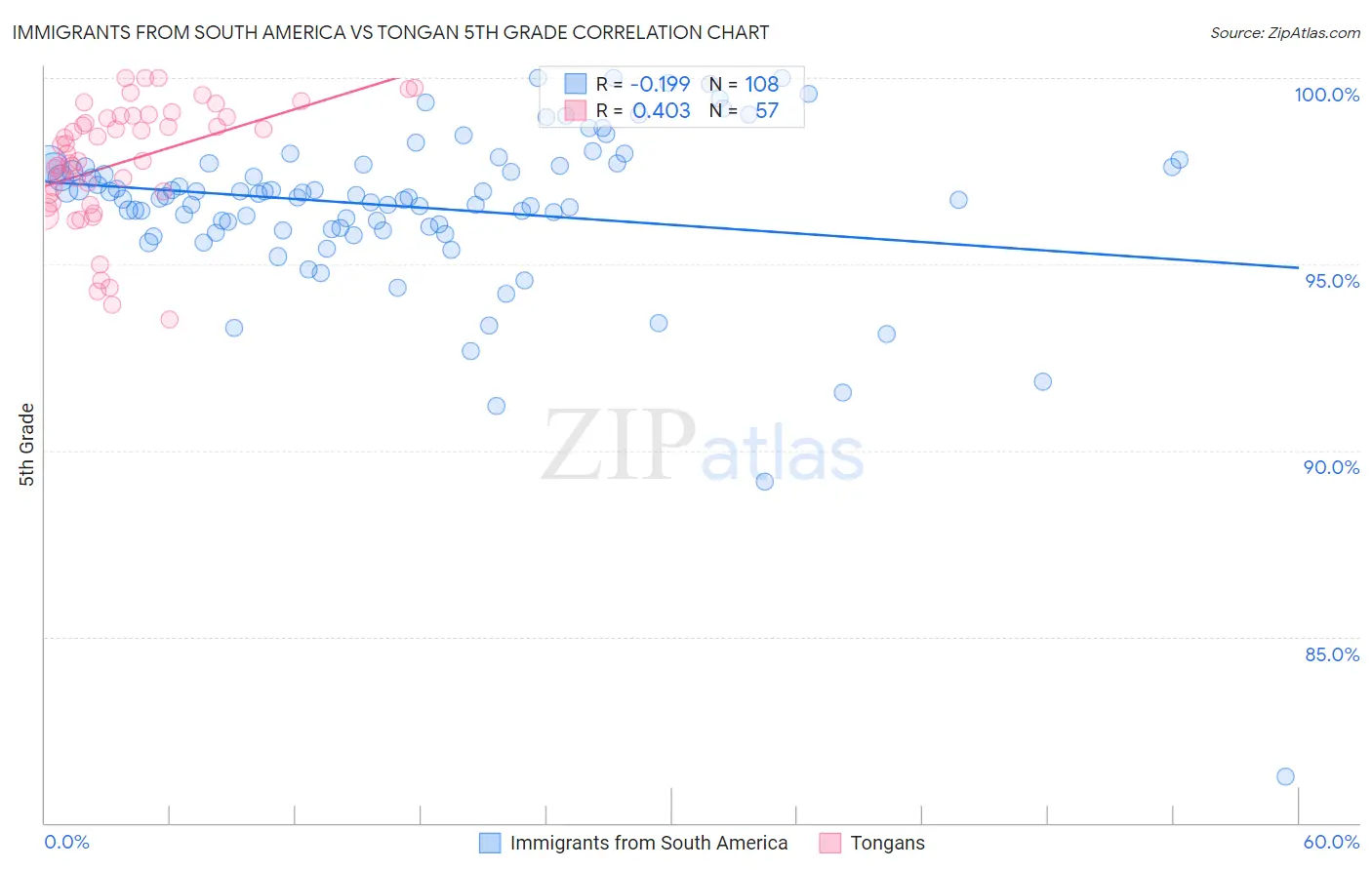 Immigrants from South America vs Tongan 5th Grade