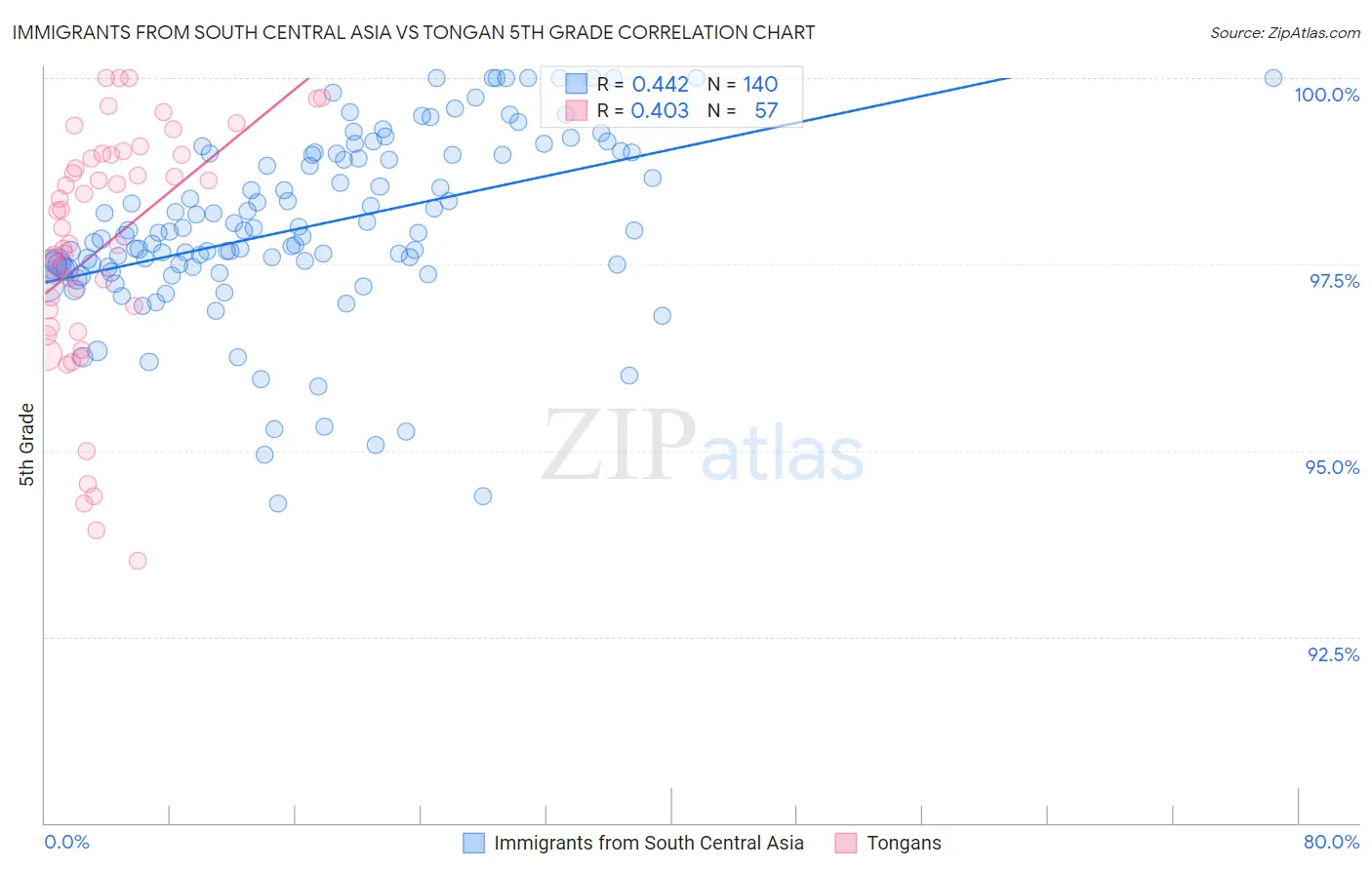 Immigrants from South Central Asia vs Tongan 5th Grade