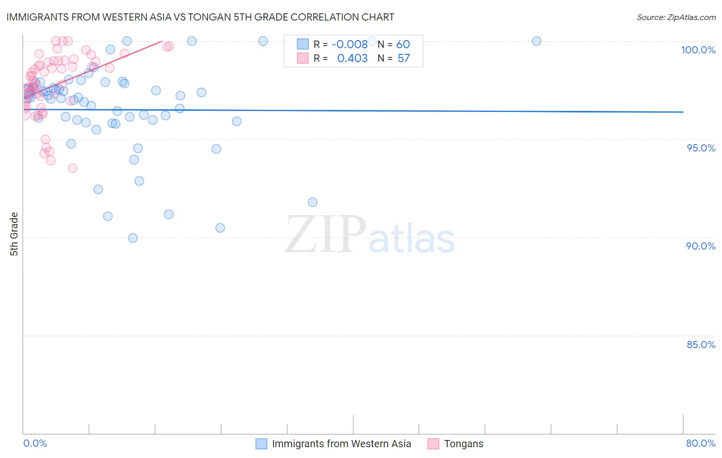 Immigrants from Western Asia vs Tongan 5th Grade