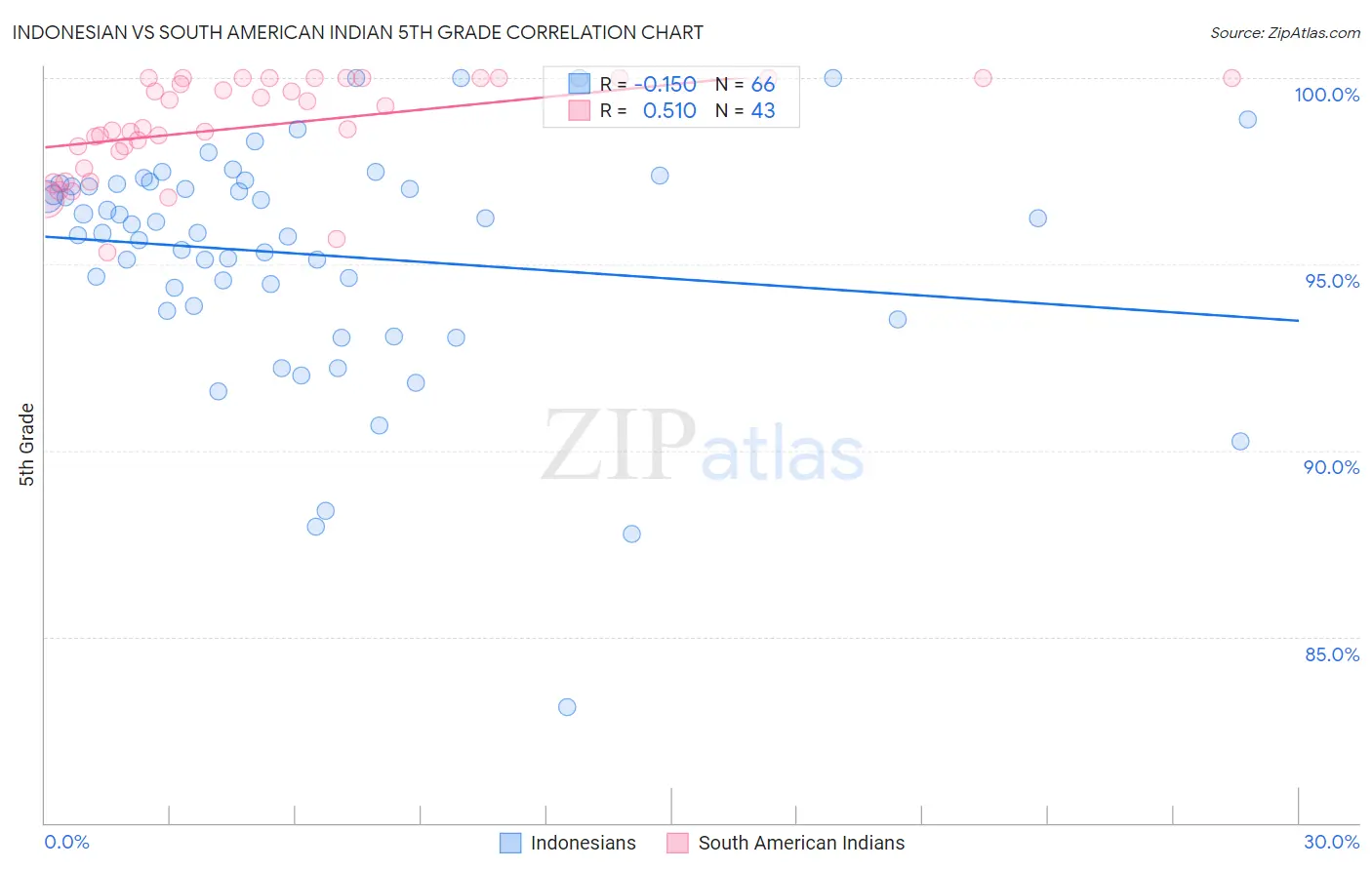 Indonesian vs South American Indian 5th Grade