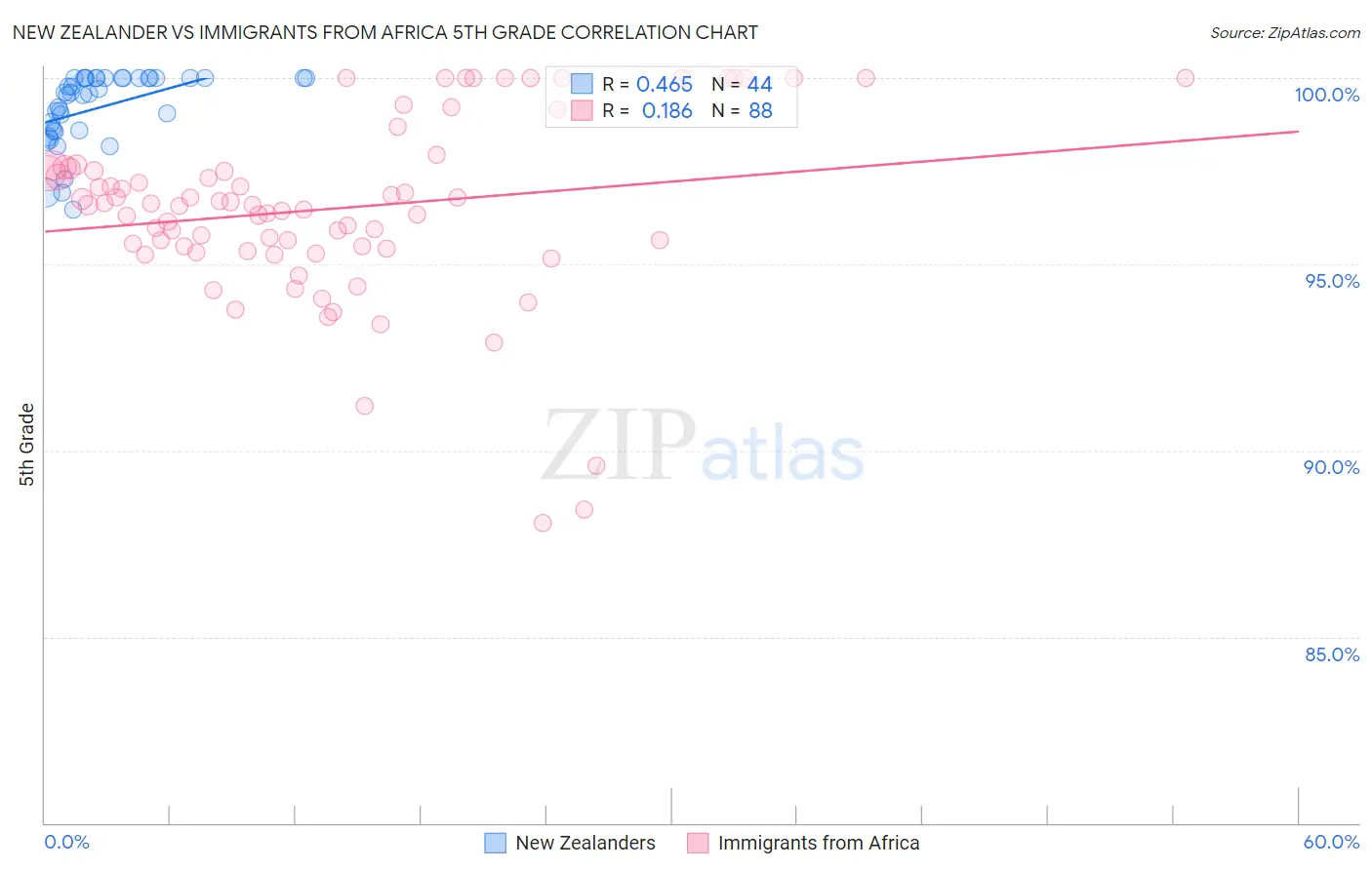 New Zealander vs Immigrants from Africa 5th Grade