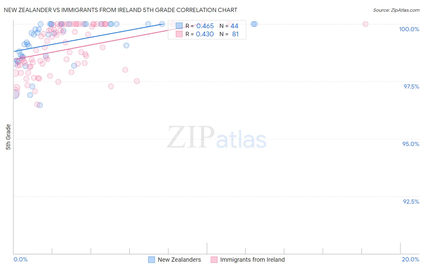 New Zealander vs Immigrants from Ireland 5th Grade