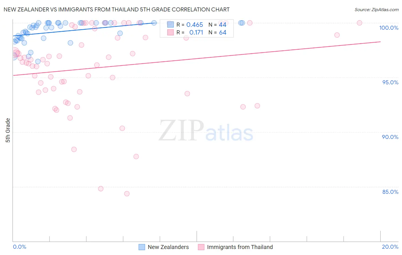New Zealander vs Immigrants from Thailand 5th Grade