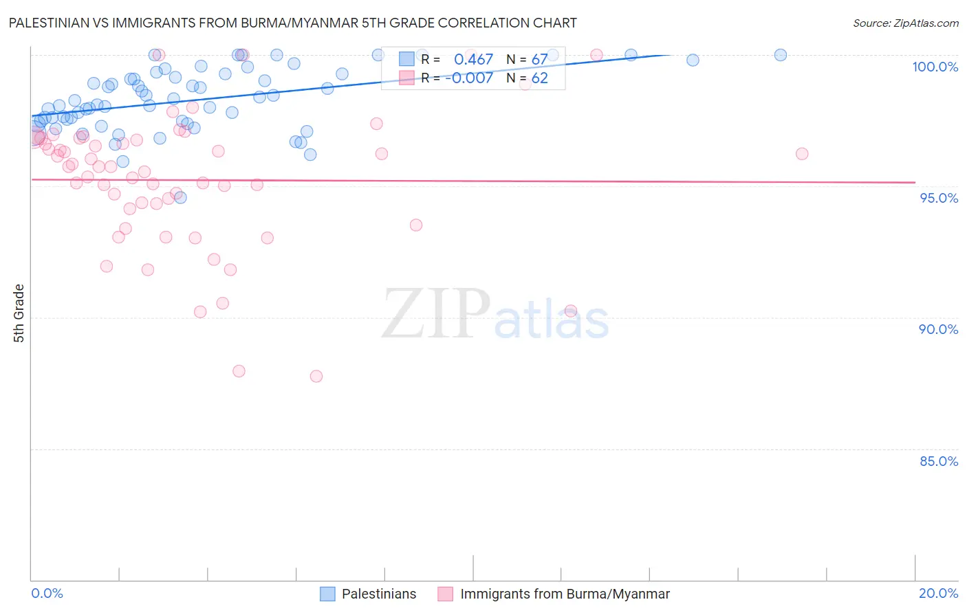 Palestinian vs Immigrants from Burma/Myanmar 5th Grade