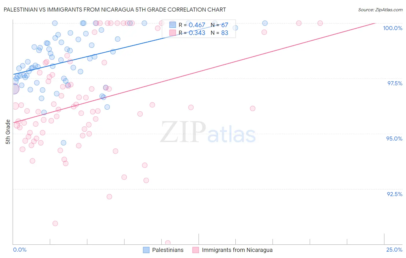 Palestinian vs Immigrants from Nicaragua 5th Grade