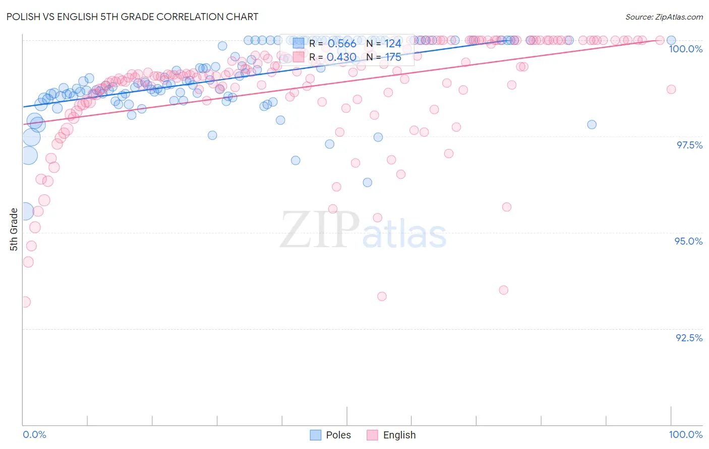 Polish vs English 5th Grade