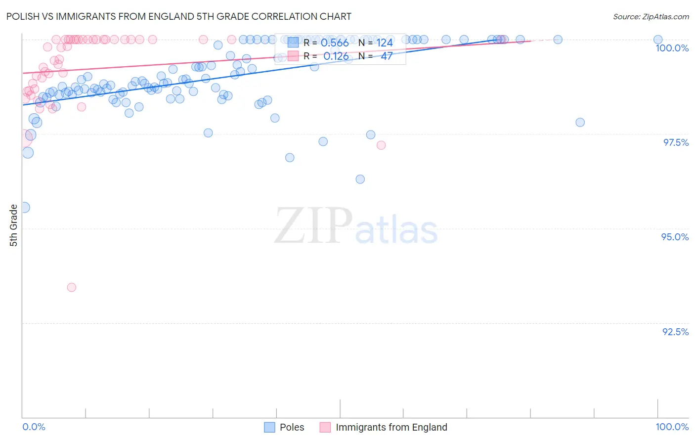 Polish vs Immigrants from England 5th Grade