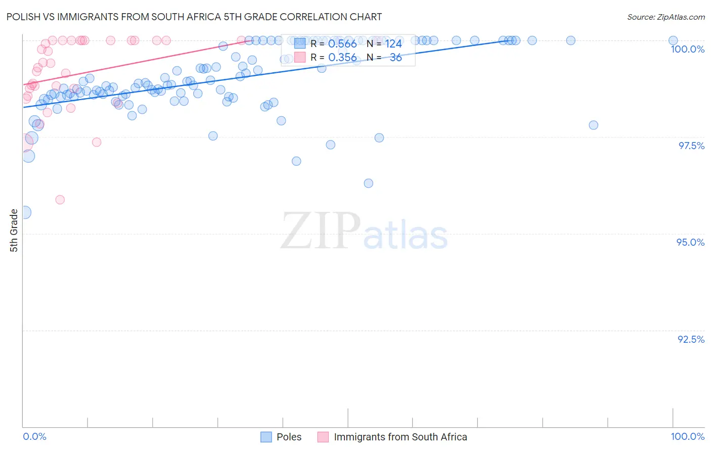 Polish vs Immigrants from South Africa 5th Grade