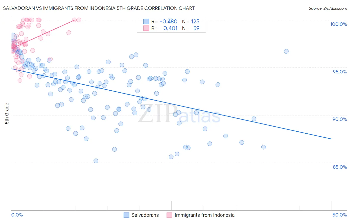 Salvadoran vs Immigrants from Indonesia 5th Grade