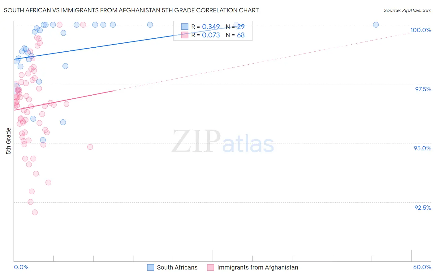 South African vs Immigrants from Afghanistan 5th Grade