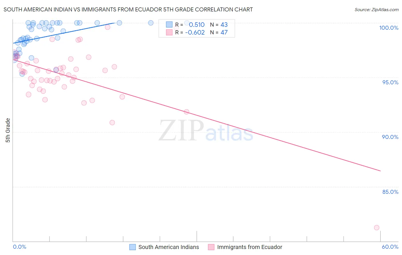 South American Indian vs Immigrants from Ecuador 5th Grade
