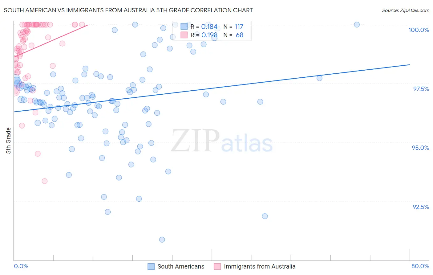 South American vs Immigrants from Australia 5th Grade