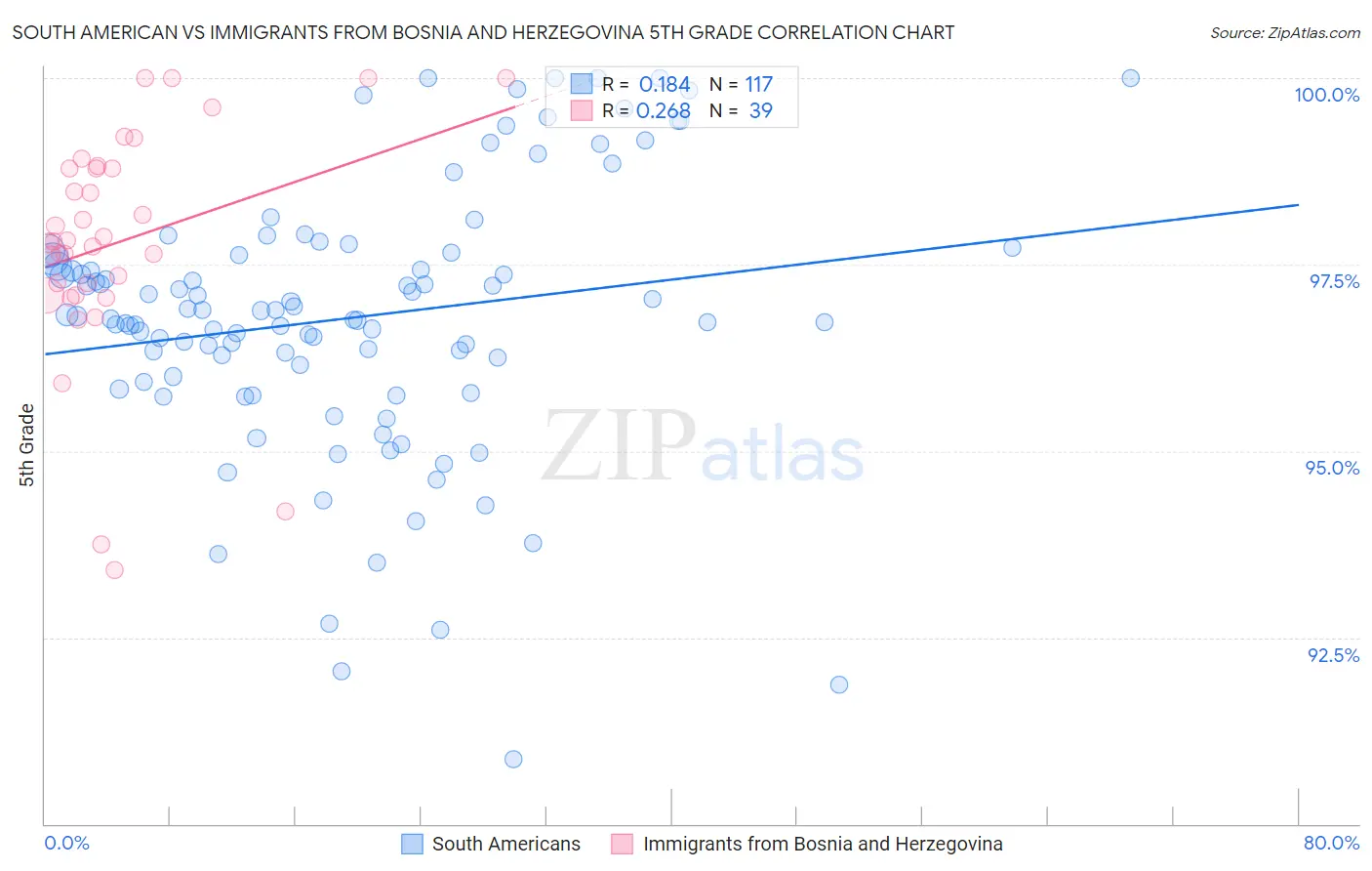 South American vs Immigrants from Bosnia and Herzegovina 5th Grade