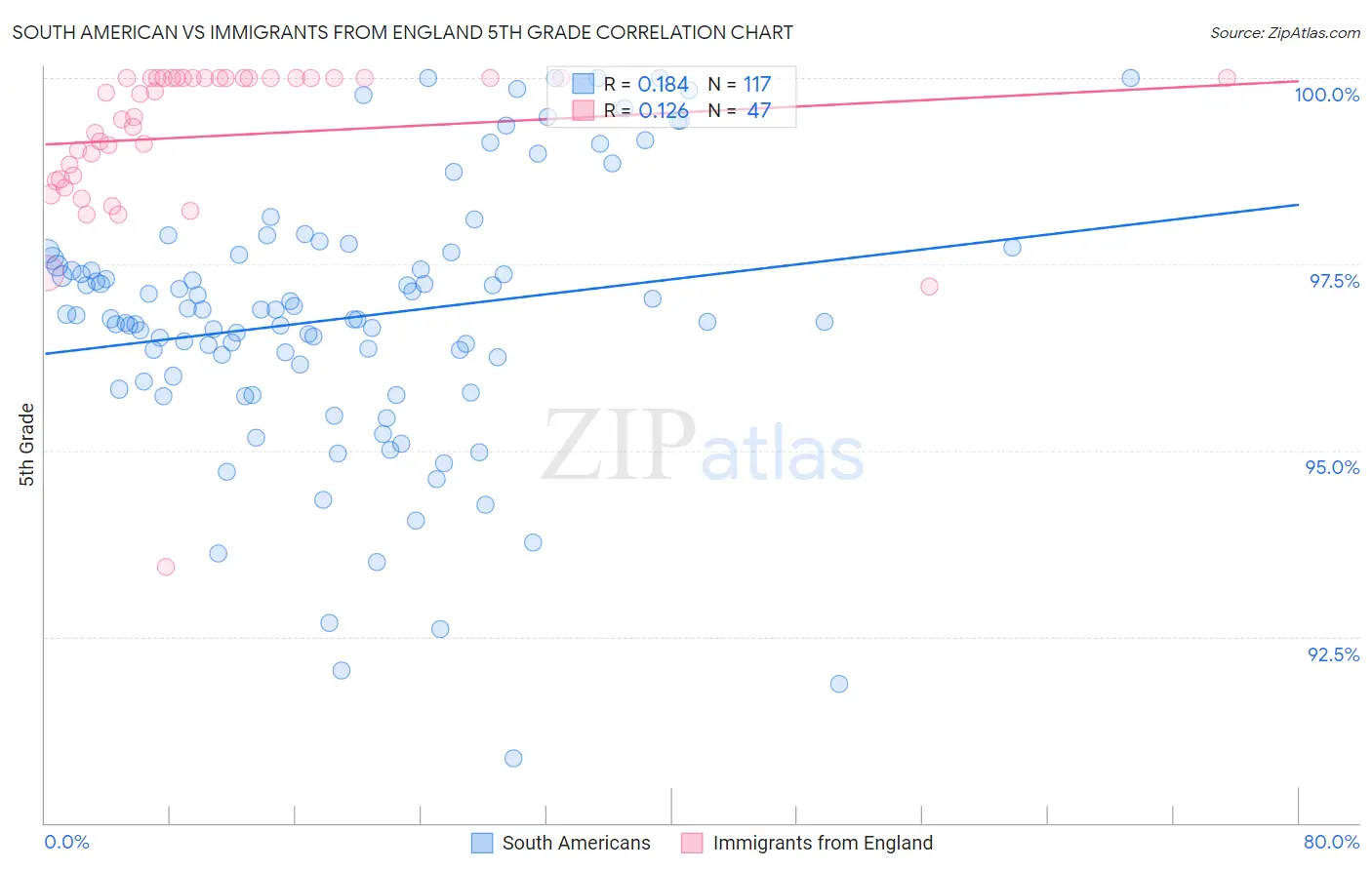 South American vs Immigrants from England 5th Grade