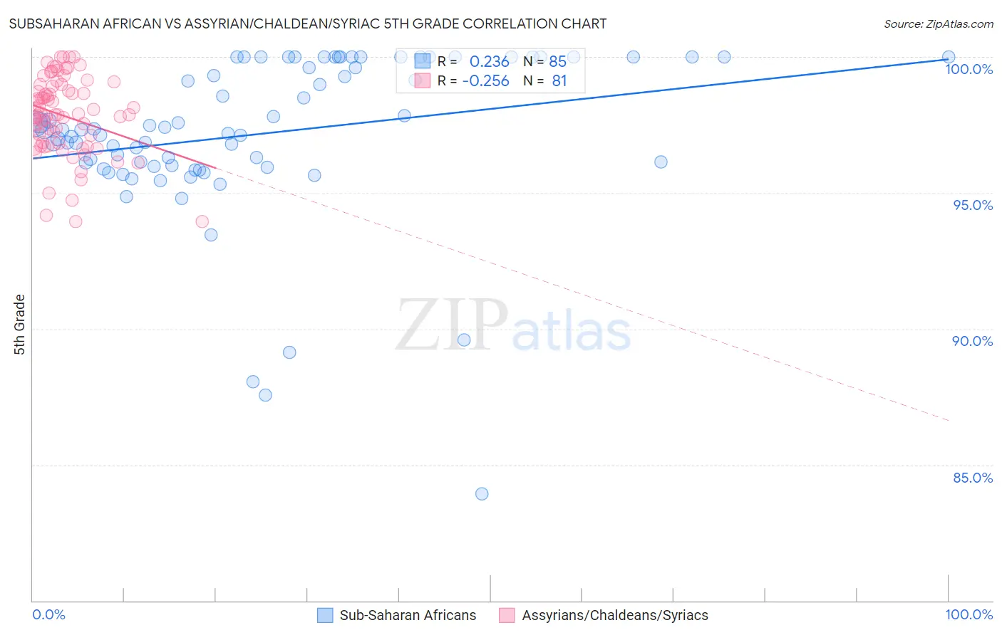 Subsaharan African vs Assyrian/Chaldean/Syriac 5th Grade