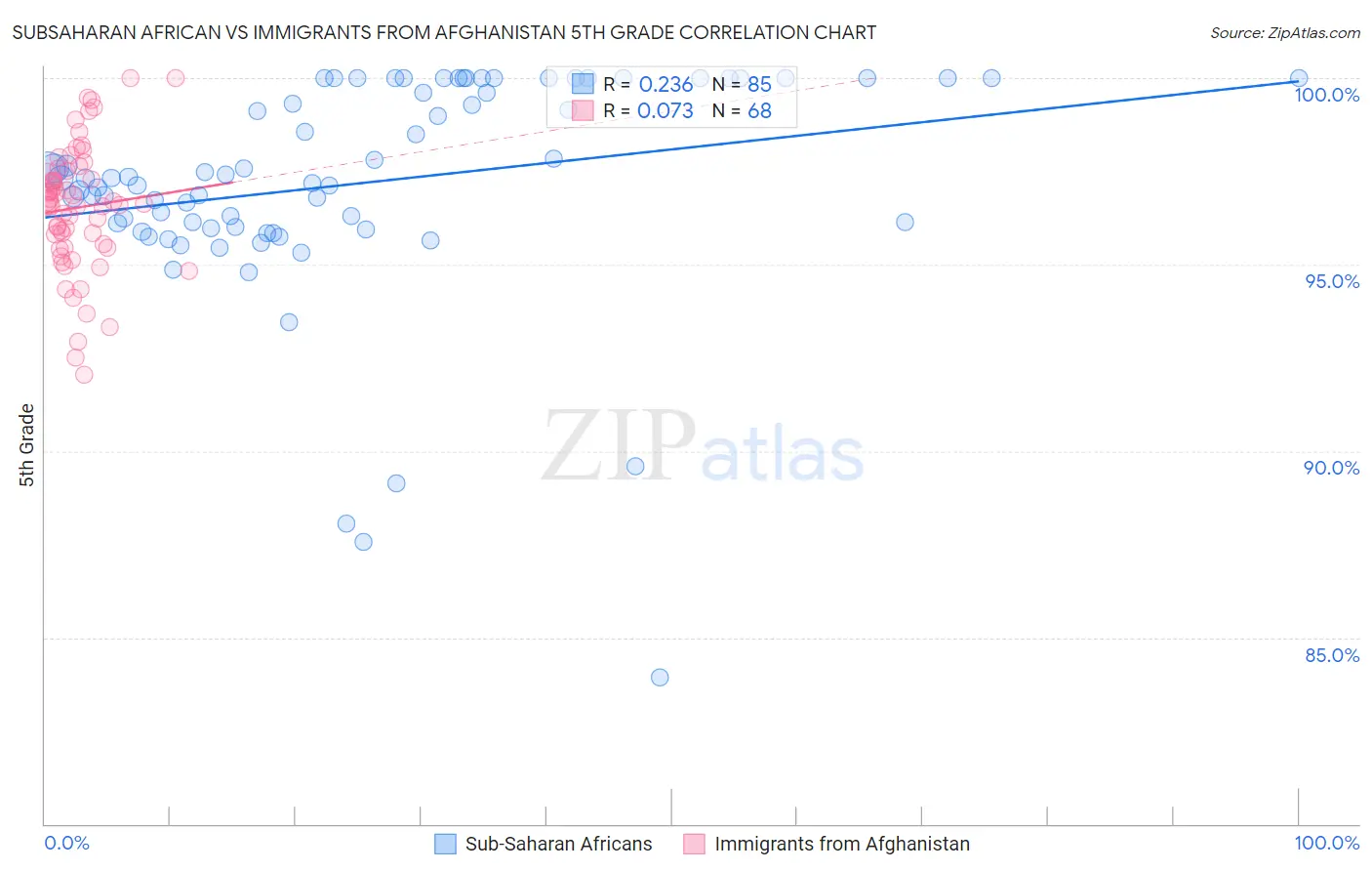 Subsaharan African vs Immigrants from Afghanistan 5th Grade