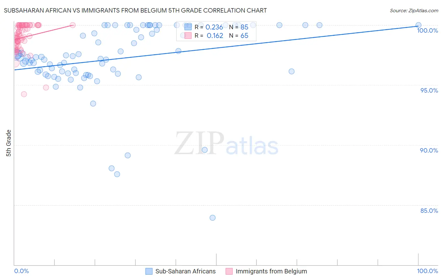 Subsaharan African vs Immigrants from Belgium 5th Grade