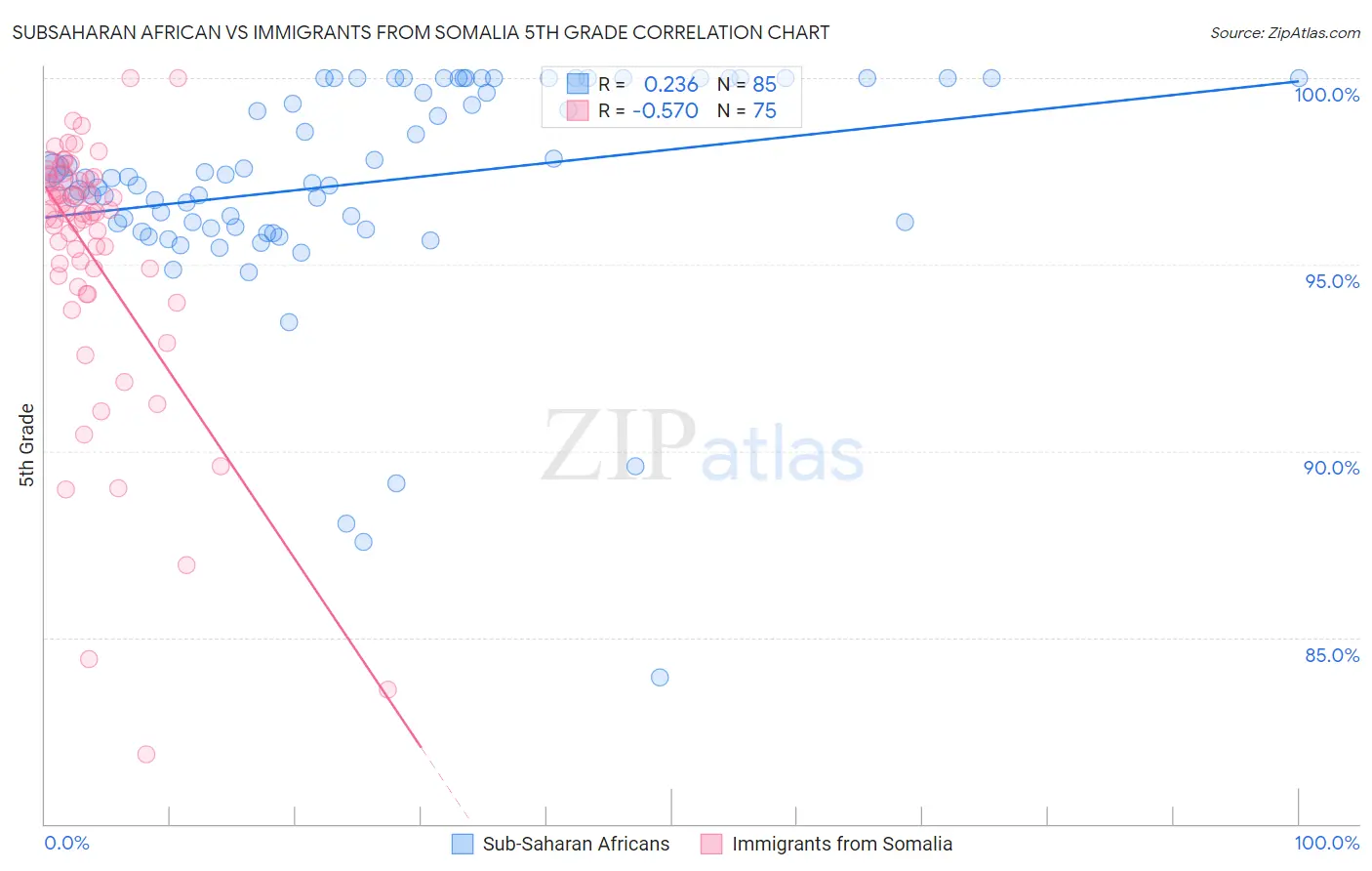 Subsaharan African vs Immigrants from Somalia 5th Grade