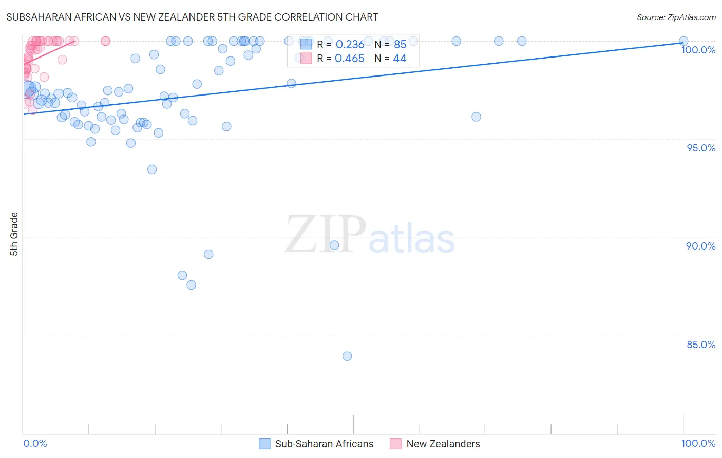 Subsaharan African vs New Zealander 5th Grade