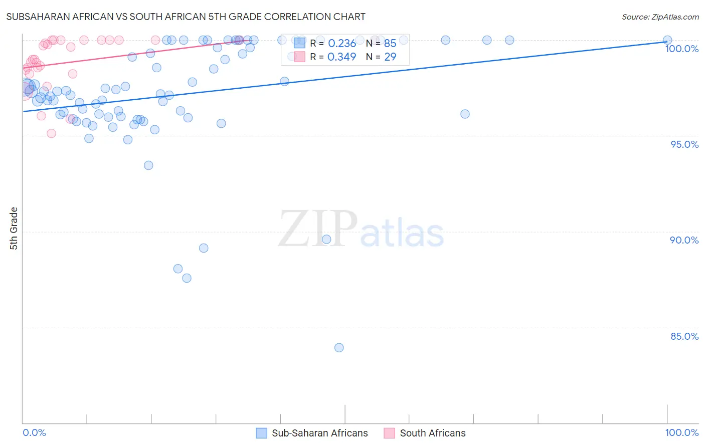 Subsaharan African vs South African 5th Grade