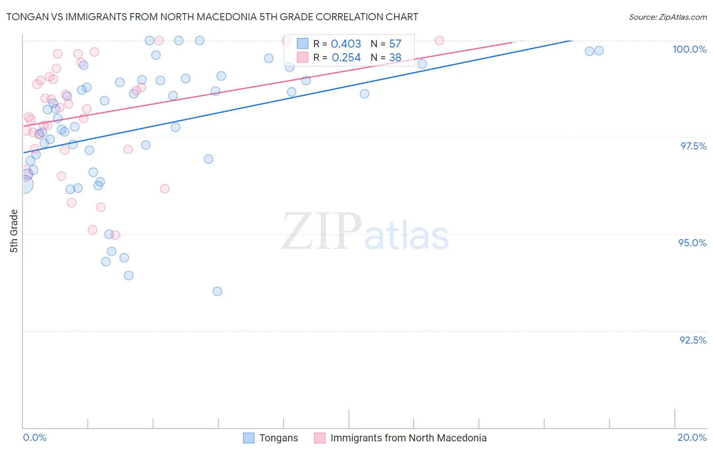 Tongan vs Immigrants from North Macedonia 5th Grade