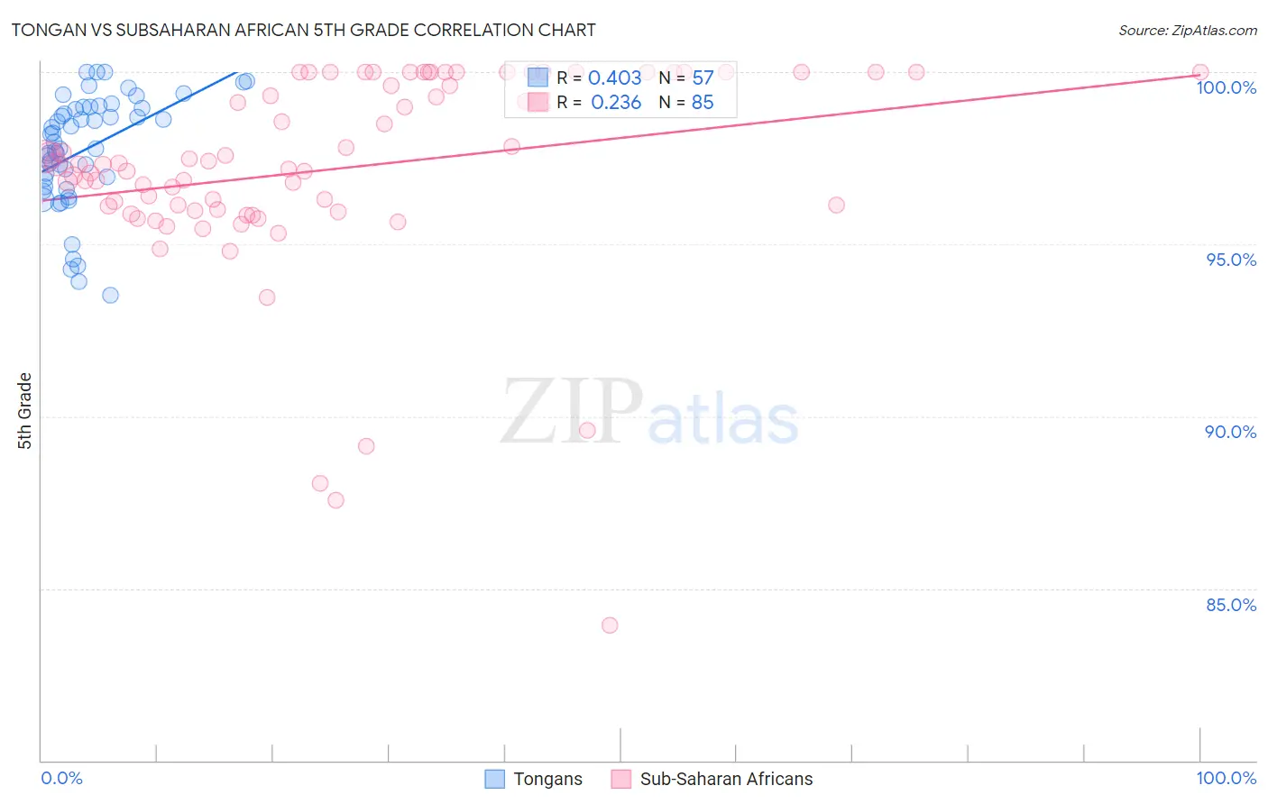 Tongan vs Subsaharan African 5th Grade