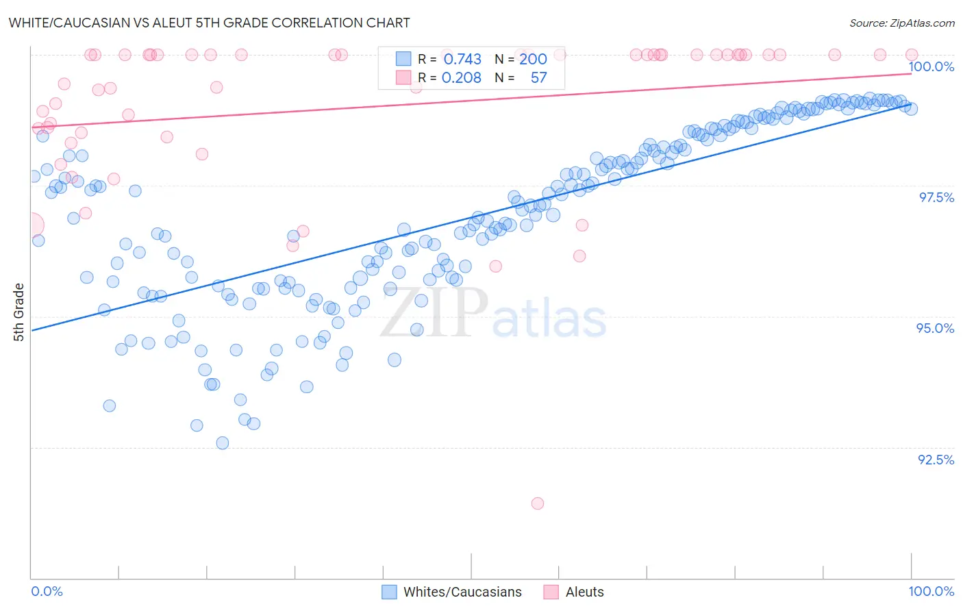 White/Caucasian vs Aleut 5th Grade