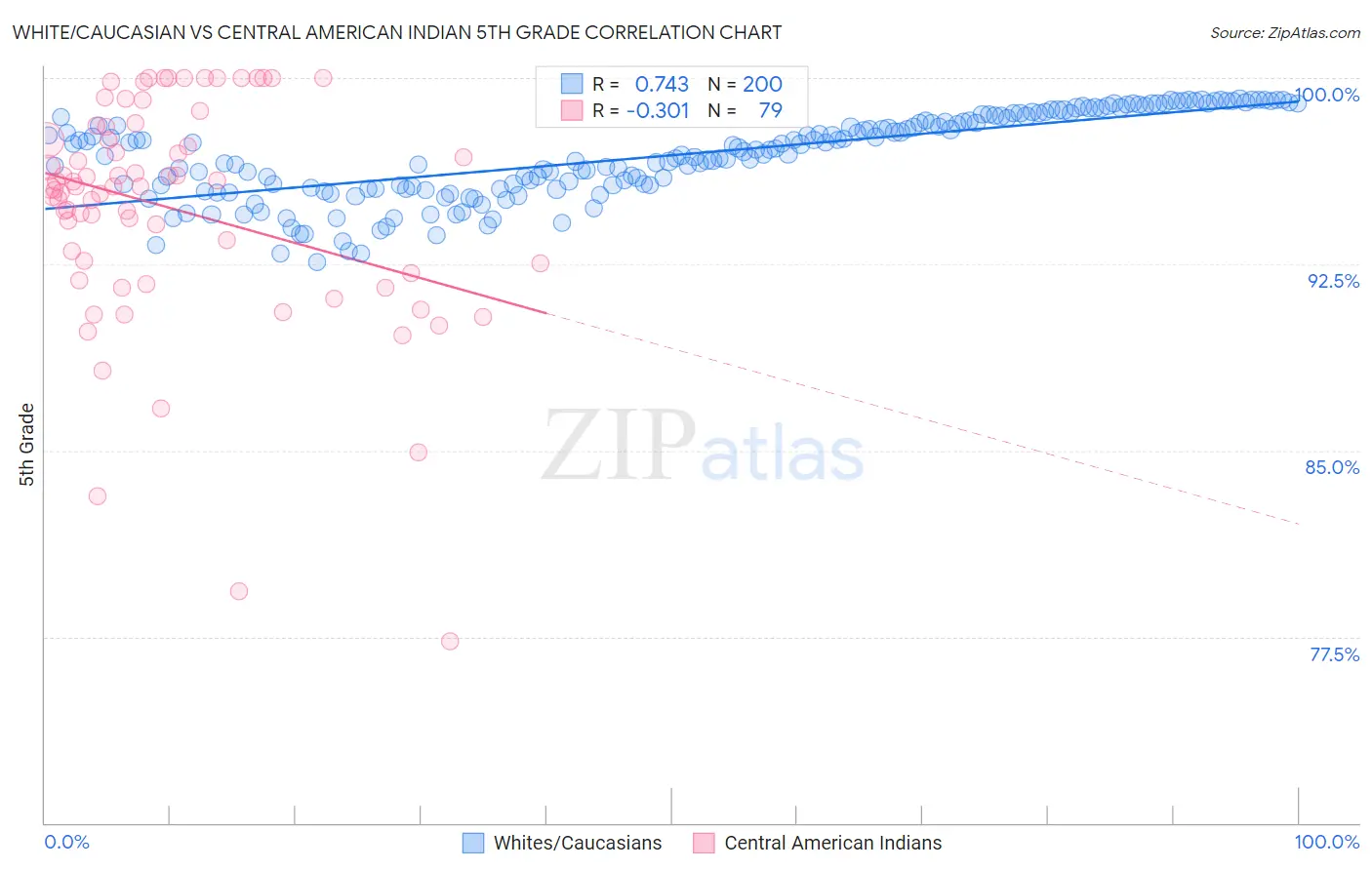 White/Caucasian vs Central American Indian 5th Grade