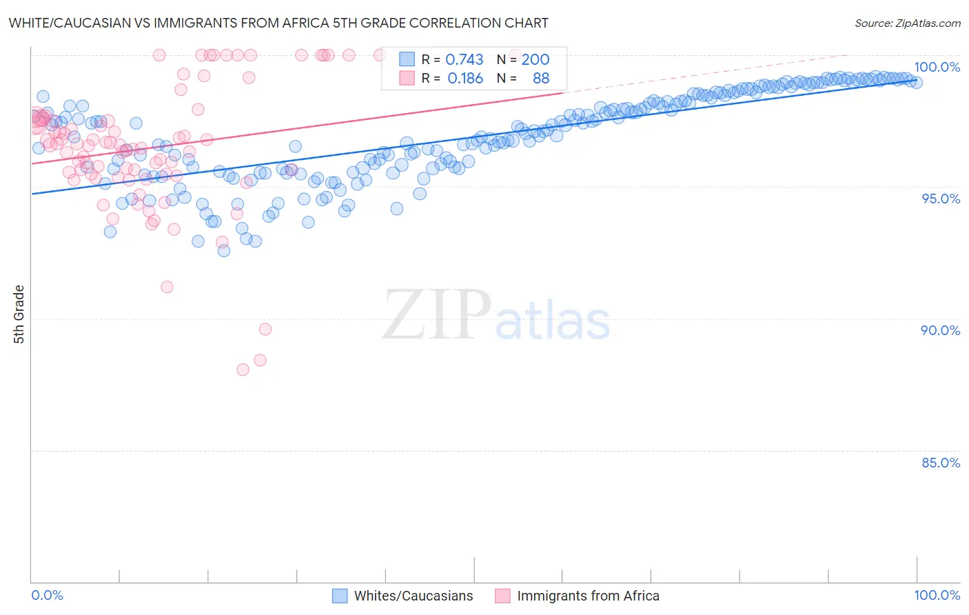 White/Caucasian vs Immigrants from Africa 5th Grade