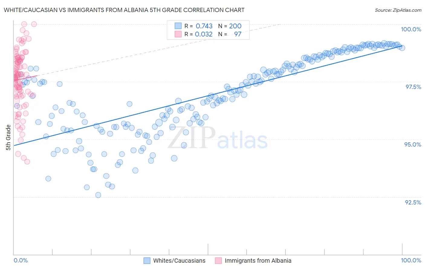White/Caucasian vs Immigrants from Albania 5th Grade
