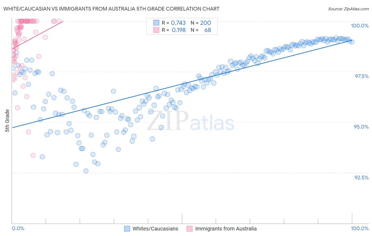 White/Caucasian vs Immigrants from Australia 5th Grade