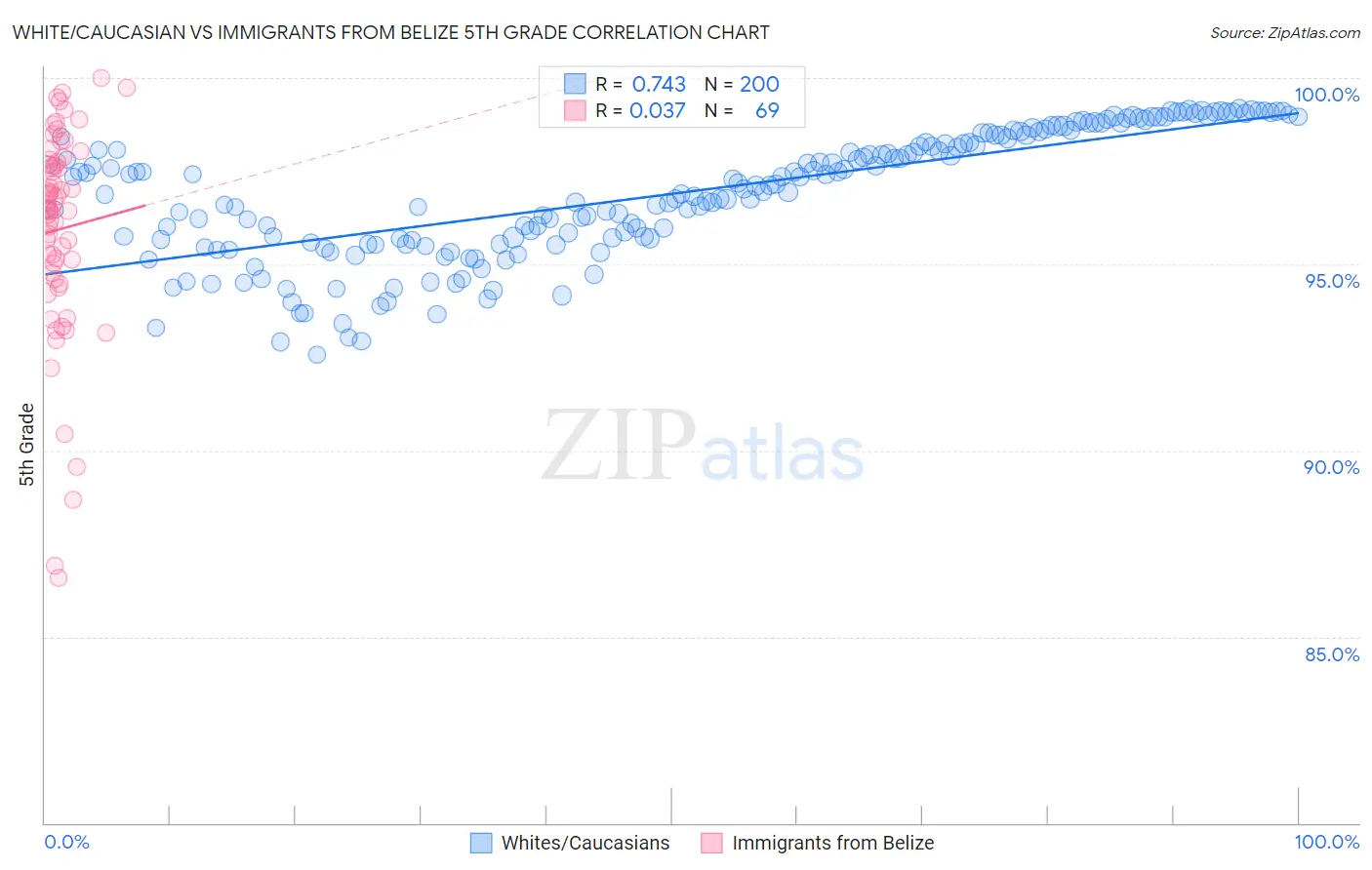 White/Caucasian vs Immigrants from Belize 5th Grade