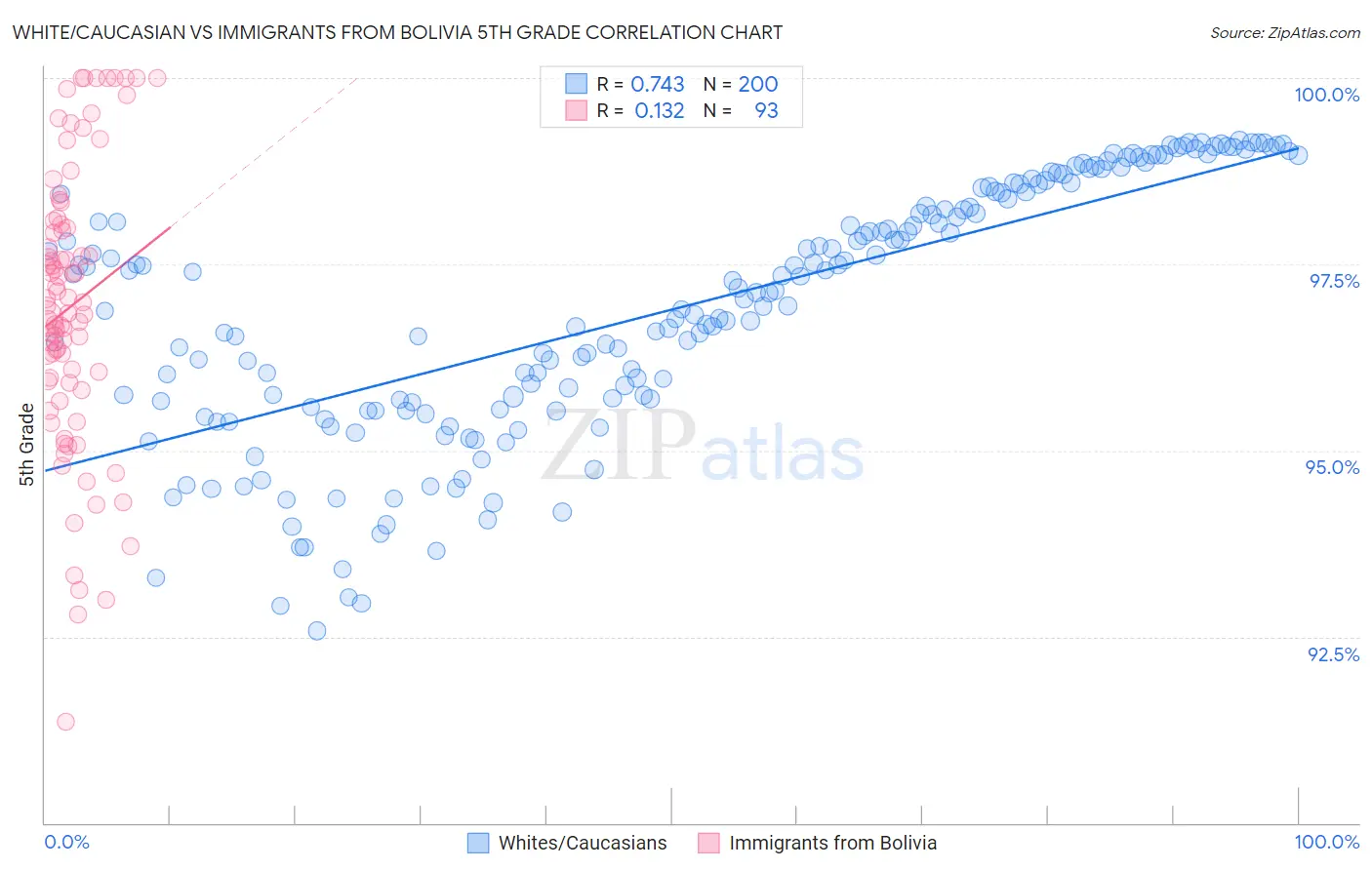 White/Caucasian vs Immigrants from Bolivia 5th Grade