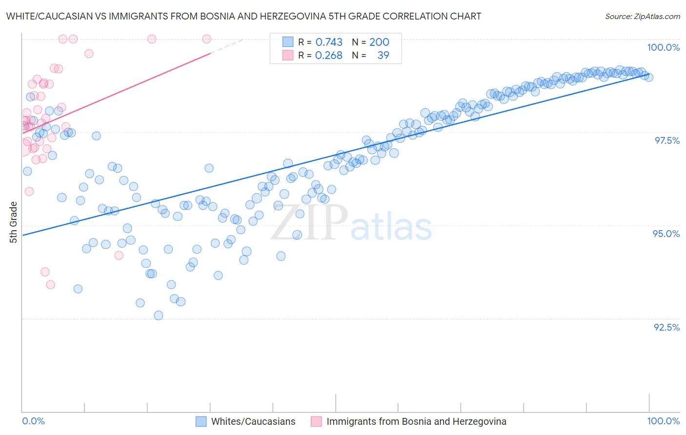 White/Caucasian vs Immigrants from Bosnia and Herzegovina 5th Grade