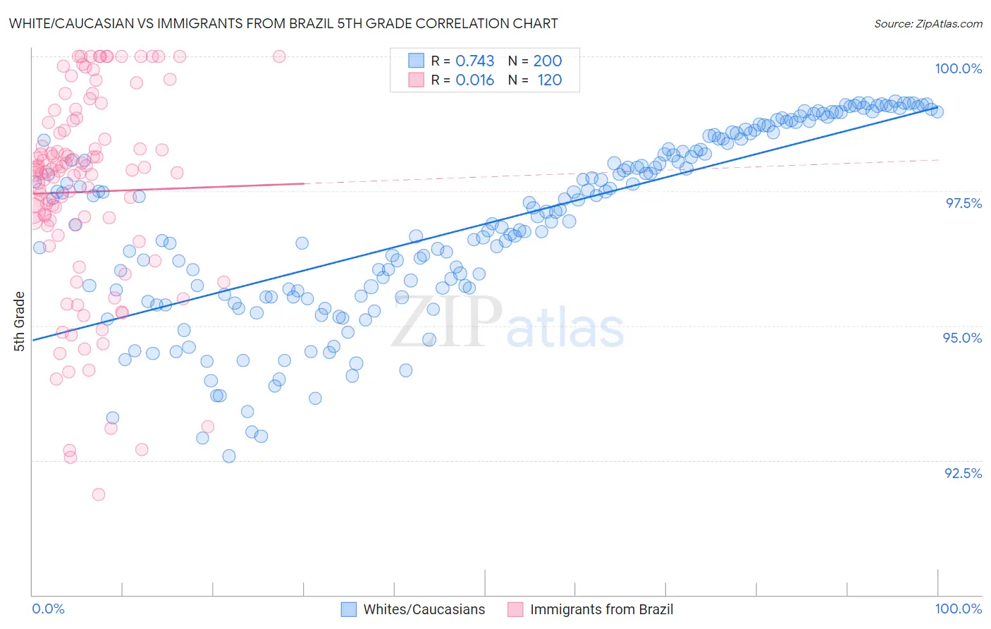 White/Caucasian vs Immigrants from Brazil 5th Grade